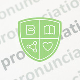 Pronunciation Practice: Helping Students Succeed 