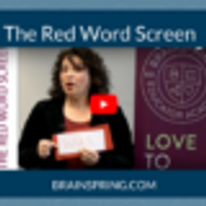 Orton Gillingham Multisensory Tools: The Red Word Screen