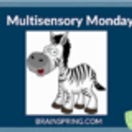 Multisensory Monday: Story Time with Ziggy the Zebra