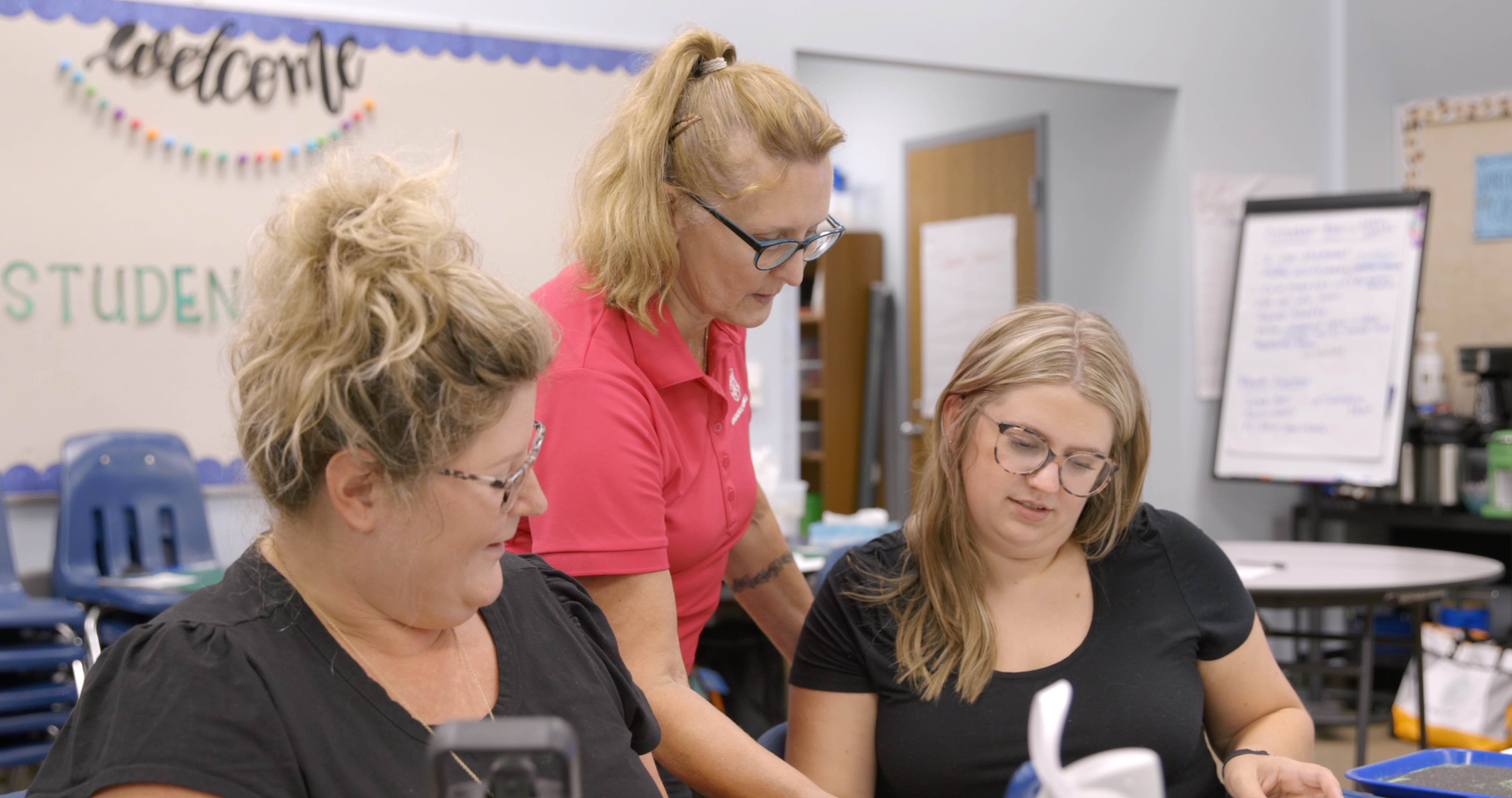 Brainspring with Teachers