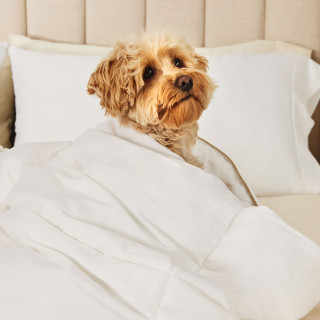 Couette de microgel Fieldcrest® Luxury