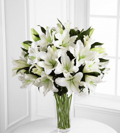 Stargazer Lily (Set of 6)