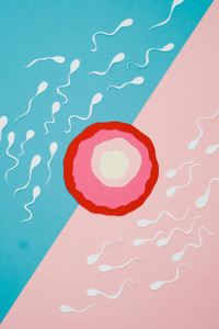Let's Talk Male Infertility: Understanding Causes & Finding Treatment