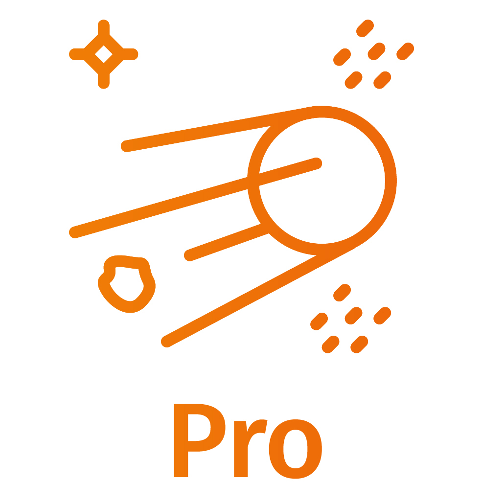 Pro Plan