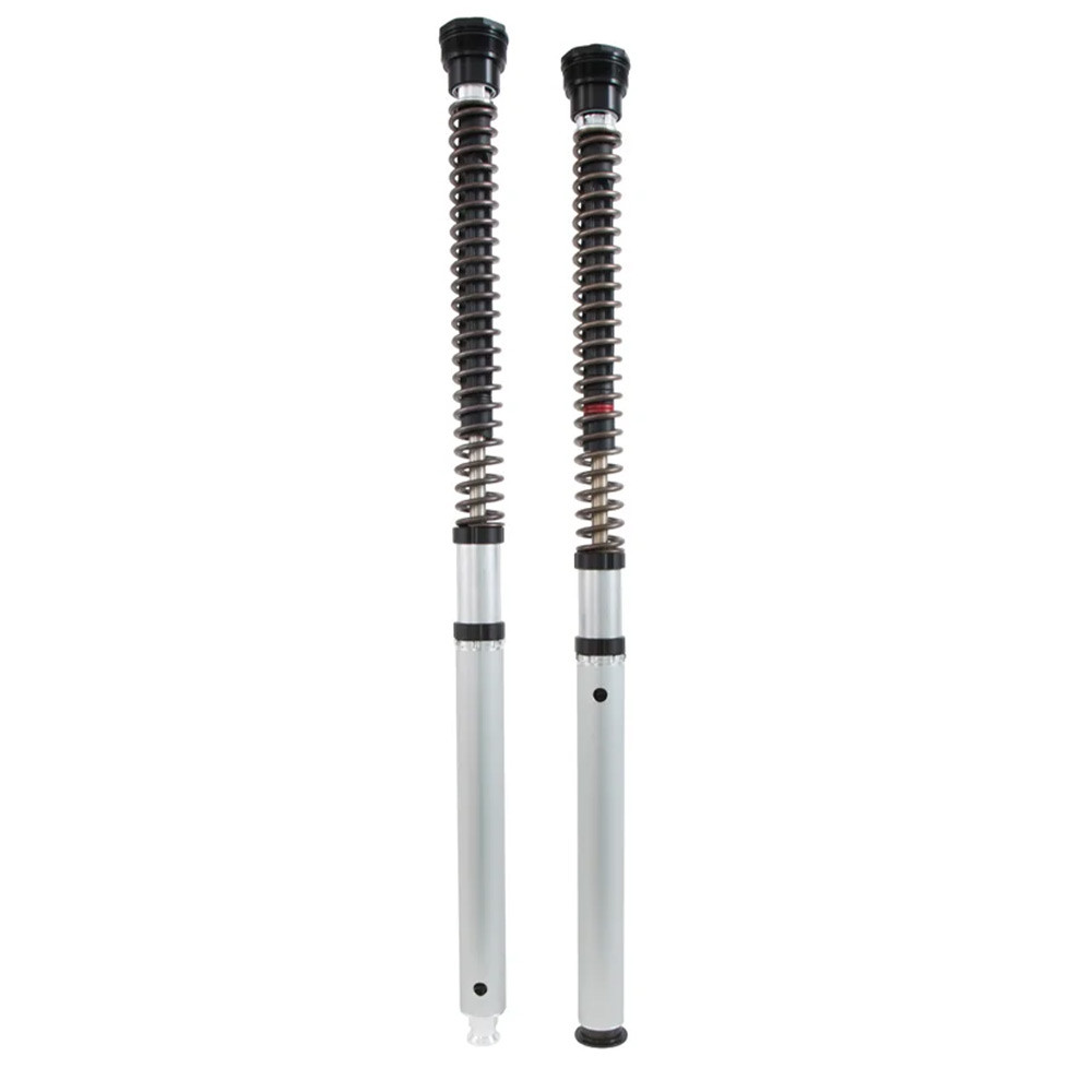 Ｙ① Ohlins Kawasaki Z900/Performance 2017-2026 Street NIX 30mm Fork