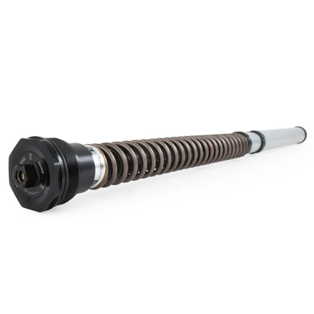 Ohlins Kawasaki Z900/Performance 2017-2026 Street NIX 30mm Fork