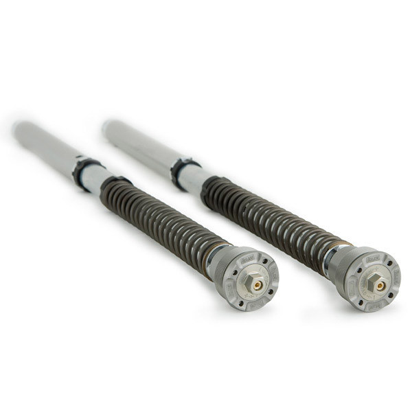 Ohlins Yamaha R1 2015-2019 NIX 30mm Fork Cartridge Kit w/Springs
