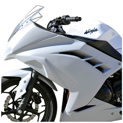 Kennzeichenhalter Kawasaki Ninja 300 2013 - 2017 RIDETEC - RENNGRIB