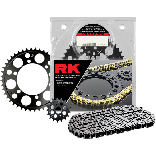 RK / Driven Kawasaki EX 650/EN650 06-08 OEM Replacement Chain and