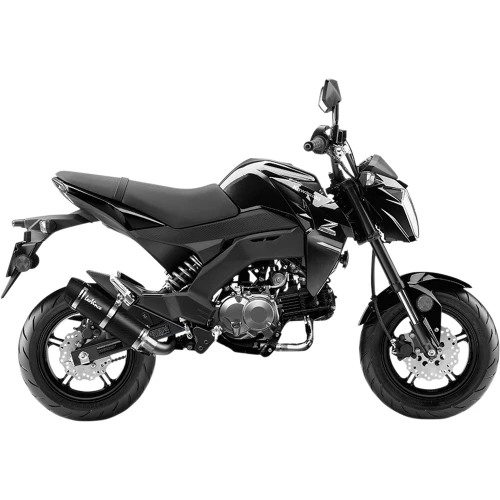 Leo Vince 2017-2024 Kawasaki BR125 Z125 PRO GP Corsa Evo Exhaust System