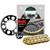 RK / Driven BMW S1000RR 12-18 Quick Acceleration Chain Kit Gold