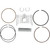 Wiseco Honda TRX300EX 20062008 Piston  Standard Image 1