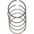 Wiseco Honda TRX300FW FourTrax 4x4 19902000 Ring Set 74.00mm Image 1