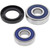 All Balls 2003 Suzuki VS Boulevard 800 GL Wheel Bearing Kit - Rear Image 1
