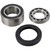 All Balls 2010 Arctic Cat Bearcat 570 Chain Case Bearing and Seal Kit Image 1