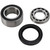 All Balls 2005 Arctic Cat M5 Chain Case Bearing and Seal Kit Image 1