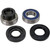 All Balls 1996-1997 Ski-Doo Touring E Chain Case Bearing and Seal Kit Image 1