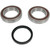 All Balls 2011 Ski-Doo Summit Everest E-TEC 800R Chain Case Bearing and Seal Kit Image 1