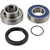 All Balls 2008-2009 Yamaha RST90 RS Venture Chain Case Bearing and Seal Kit Image 1