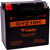 Yuasa 2013-2019 BMW R1200GS GYZ Factory-Activated AGM Maintenance-Free Battery Image 2