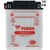 Yuasa 1999 Yamaha YFM250 Bear Tracker Conventional Battery Image 1