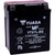 Yuasa 2014-2015 Piaggio Fly 150 AGM Maintenance-Free Battery Image 1
