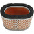 HiFloFiltro 2002-2004 Triumph 955 Sprint ST Replacement Air Filter Image 1