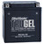 BikeMaster Harley-Davidson FL, FLH Series 00-11 TruGel Battery