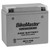 BikeMaster Harley-Davidson XLH Sportster 1000 79-85 AGM Platinum II Battery
