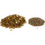 Woody's Gold Digger Traction Master Carbide Studs 1.075" Effective Length 1008 Pack