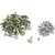 Woody's Grand Master Pro Carbide Studs 1.450" Effective Length