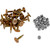 Woody's Gold Digger Traction Master Carbide Studs 1.325" Effective Length 24 Pack