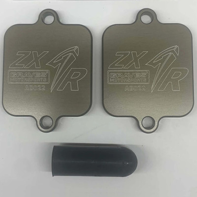 Graves Motorsports Kawasaki ZX10R 2016-2026 Smog Block Off Plates