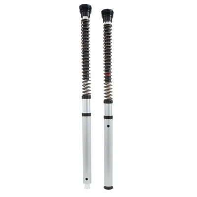 Ohlins Kawasaki ZX-4RR 2023-2026 Supersport NIX 30mm Fork