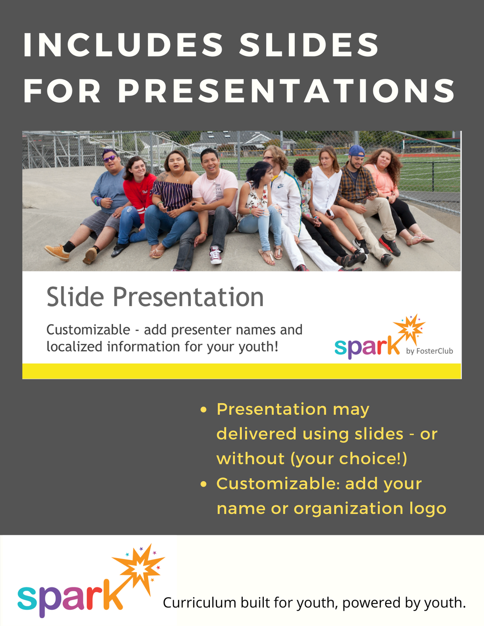 FYI Case Planner Workshop - Store | FosterClub
