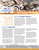 Youth Leadership Toolkit - FREE Download