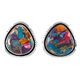 Rainbow Spiny Turquoise Earrings Sterling Silver E1461-C91