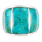 Turquoise Ring Sterling Silver R2432-C05