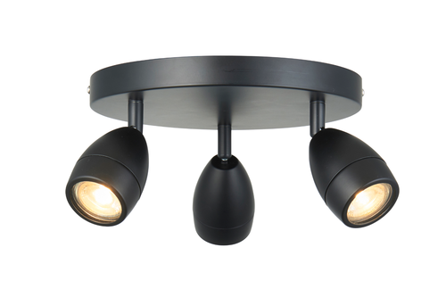 Pontoon Bathroom Ceiling Light Black