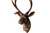 Samson Stag Wall Decor Bronze