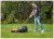 Black & Decker 1200w Electric Rotary Mower Demo Image 1