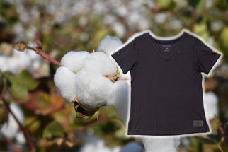Not All Cotton Fabrics Are Created Equal