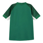 Ireland Rugby 26/27 Stadium Men's Home Shirt