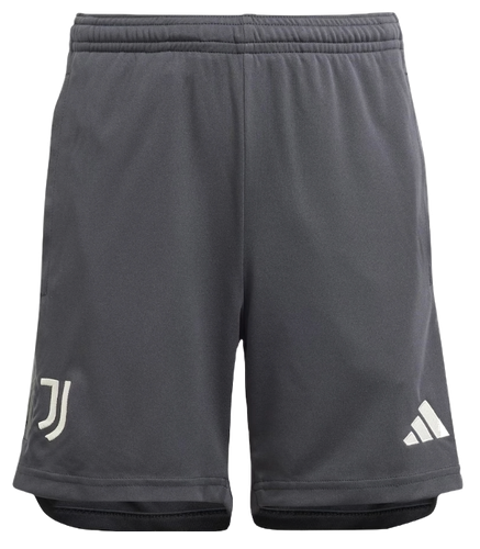 Juventus 23/24 Authentic Men's Third Shirt