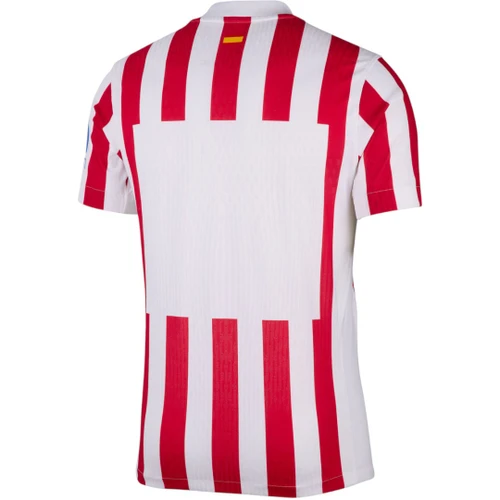 Atletico Madrid 25/26 Authentic Men's Home Shirt