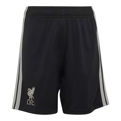 Liverpool 26/27 Authentic Men's Third Shirt