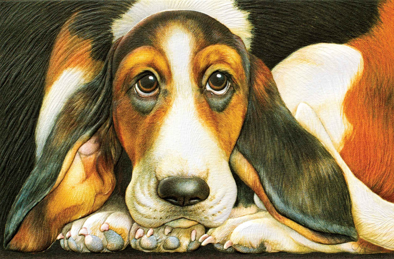 Embossed Get Well Basset Hound Card - The Slobber Shoppe