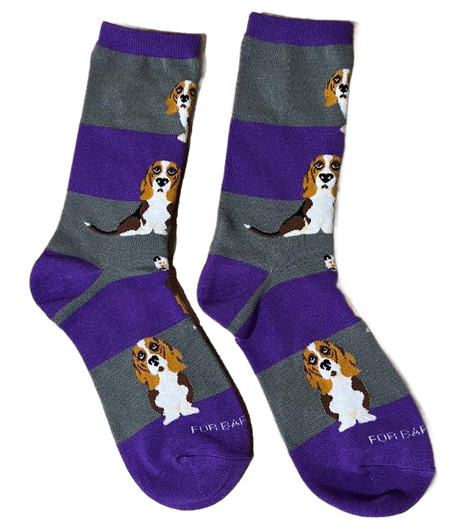 purple striped socks purple striped socks