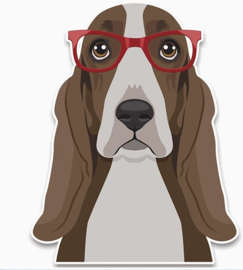 basset hound sticker