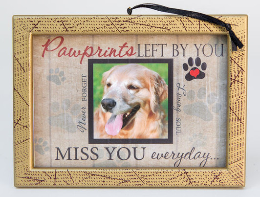 Pawprints Photo Pet Memorial Ornament
